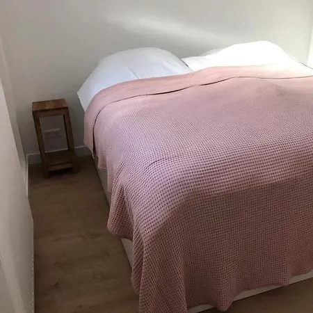 Luxe Studio & Direct Aan Het Strand & Duinen *